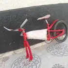 البيع سيكل كوبرا مقاس 20 لونه مابه لساتك الجنط الي قدام موج
