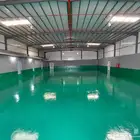 ايبوكسي سيكا سويسري