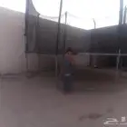 لعبت النقز والجمبلز اكبرحجم بحاله جيده وممتازه مع طقم مفكاته