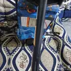 اسكوتر للبيع اخو الجديد استعمال قليل بس بدون مفتاح فقط