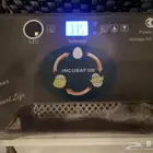 فقاسة اوتماتيك