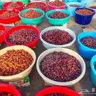تمور حائل الفاخره