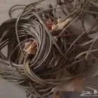 سلك كھرب طويل جدا