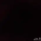 مطلوب شقه عوائل بالشهر بطيبه أو النابية