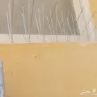 طارد الطيور حمام