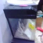 حوض اسماك