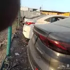 شيري اريزوا فايف