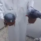 حمام