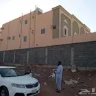مغلم دھان دانيل تبو