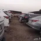 شيري تيجوا 7