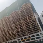 جميع الطبالي