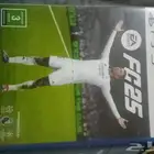 فيفا 2025