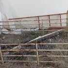 شبك شاص .