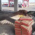 ابحر الشماليه جده