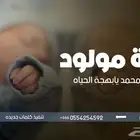 تنفيذ شيلات واغاني مواليد