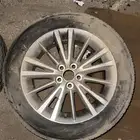 استبنة كوريلا 2015 بلد