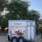 عربة نقل خيل نجران