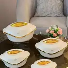 حافضات طعام