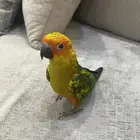 صن كنيور اليف وهدد ومتكلم