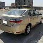 كورولا 2019 بودي وكاله