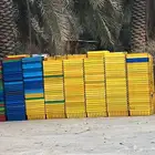 سلال تمور