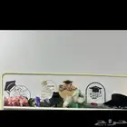 للبيع ستآندآت تخرج كلهم مجموعهم ب15