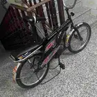 رامبو اندنوسي