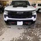 سلفر ادو مديل 2023