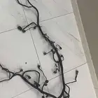 ضفيرة فورد جديدة