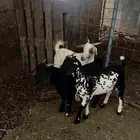 تم البيع خارج الموقع