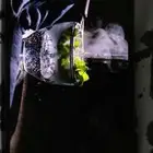 سامسونج زد فليب 4 (غرافت)