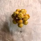 معمول بمذاق خيالي