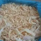 غر مستلزمات دواجن طيور حمام طيور الزينه مواشي