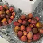 اوفر سكرية المذنب وأوصلها لك بالمذنب وخارجها