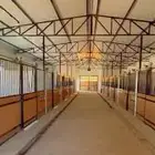 شرفنا.. نبني لك اسطبل احلامك