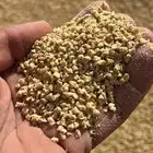 اكل بياض لاحم صوص اراسكو. مشكل خشن ناعم