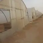 مشروع بيوت محمية للإستثمار