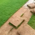 تنسيق حدايق تركيب نخل. ثيل اشجار