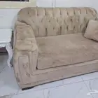 القصواء