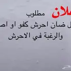 مطلوب فحل ضان كفو أحرش او اصفر