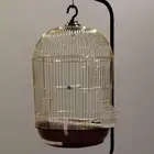 قفص عصافير شبه جديد مع حامل (استاند) بحالة ممتازة