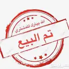 تيس بيشي فحل ابرص صننف الصنف