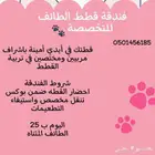 فندقة قطط متخصصة