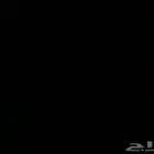 حصان للبيع التواصل مع الرقم