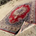 زوليتين نظيفتين