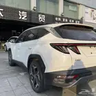 للبيع توسان 2024 أوراد الصين