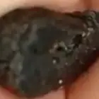 يوجد عنبر حوت الاصلي والاشهب