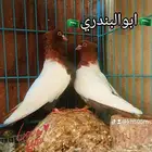 حمام ايراني