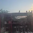 شبك معى حمام باكستاني نقوة