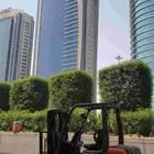 فوركلفت رافعه للايجار